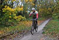 DSC_0746.jpg