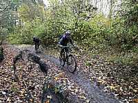 IMG_20211121_102443.jpg