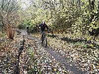 IMG_20211121_102636.jpg