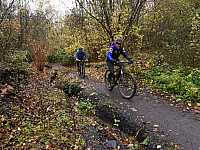 IMG_20211121_102829.jpg