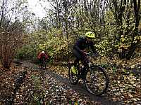 IMG_20211121_103138.jpg