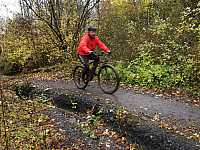 IMG_20211121_103302.jpg