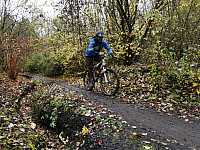 IMG_20211121_104453.jpg