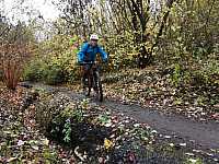 IMG_20211121_105045.jpg