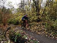 IMG_20211121_105159.jpg