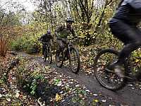 IMG_20211121_105217.jpg