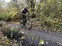 IMG_20211121_105301.jpg