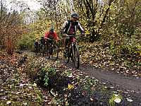 IMG_20211121_105317.jpg