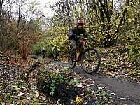 IMG_20211121_105553.jpg