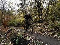 IMG_20211121_105600.jpg