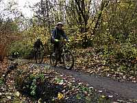 IMG_20211121_110053.jpg