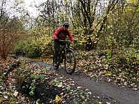 IMG_20211121_110140.jpg