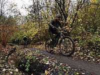 IMG_20211121_110306.jpg