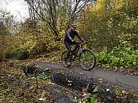 IMG_20211121_110713.jpg