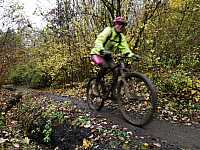 IMG_20211121_111108.jpg