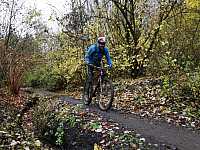 IMG_20211121_111611.jpg