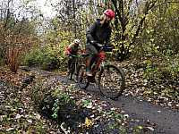 IMG_20211121_112602.jpg