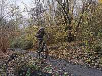 IMG_20211121_113404.jpg