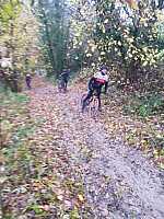 image0000031_3.jpg