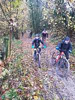 image0000041_3.jpg