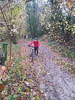image0000041_5.jpg