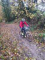 image0000091_2.jpg