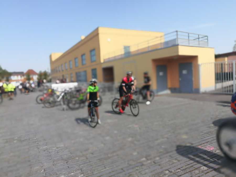 IMG_20190422_115618.jpg