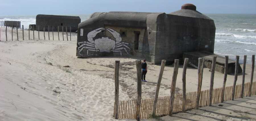 Oye-plage2014-michel.jpg