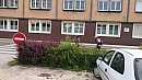 20170610_090102.jpg
